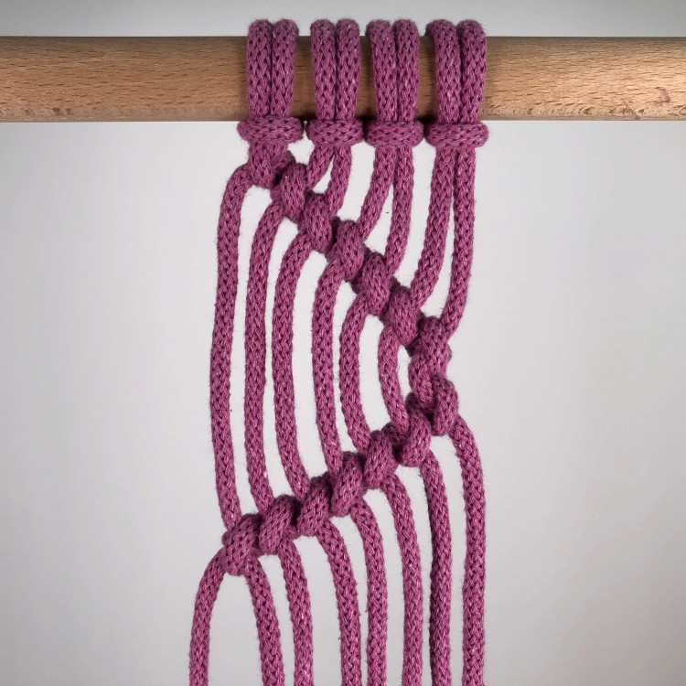 wezel_zebrowy_odwrocony