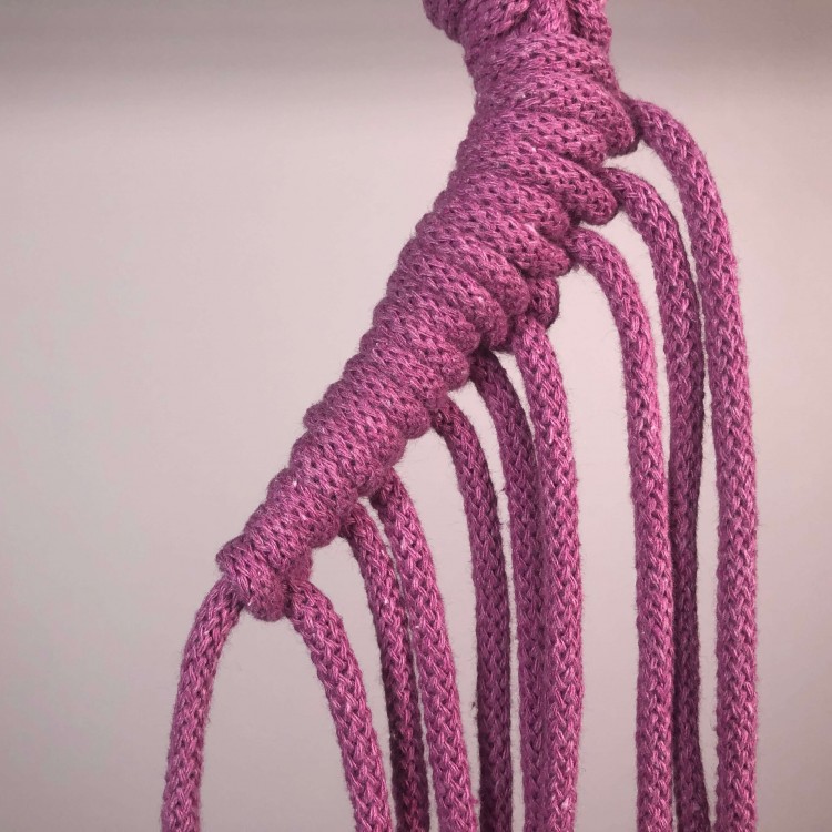 węzeł żebrowy z ujmowaniem